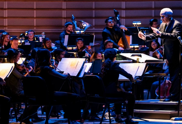 An orchestra performance